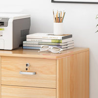 Rolling 23-Inch Cabinet with Locking Drawers