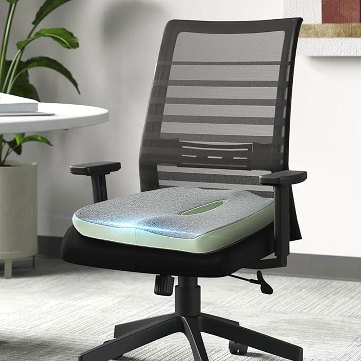 Coccyx Memory Foam Chair Pad with Cover