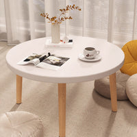 Round Sofa End Table 50x30cm with Wood Legs