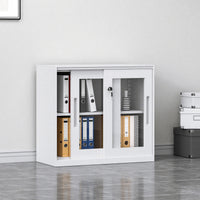 Sliding Door Cabinet with Clear Windows and Lock