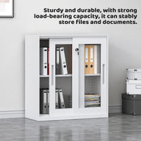 Sliding Door Cabinet with Clear Windows and Lock