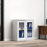 Sliding Door Cabinet with Clear Windows and Lock