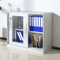 Sliding Door Cabinet with Clear Windows and Lock