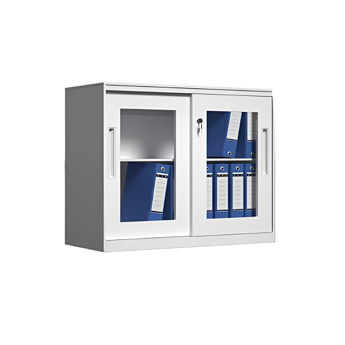 Sliding Door Cabinet with Clear Windows and Lock