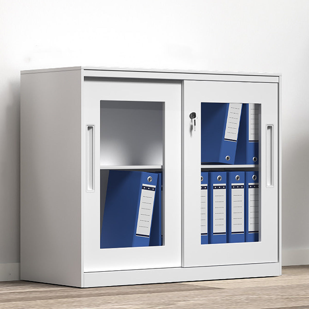 Sliding Door Cabinet with Clear Windows and Lock